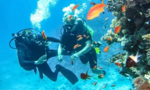 Scuba Diving